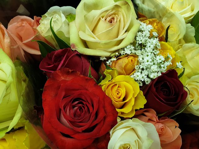 З'явилися фото, зроблені на смартфон Samsung Galaxy Note9 - фото 270069