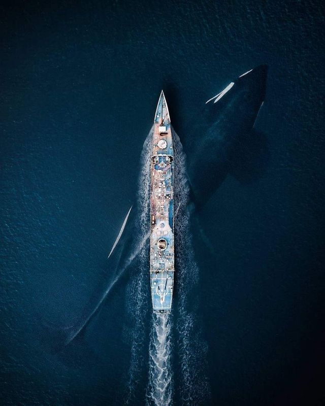 Архітектор показав, як виглядає світ з висоти пташиного польоту- фото 269822