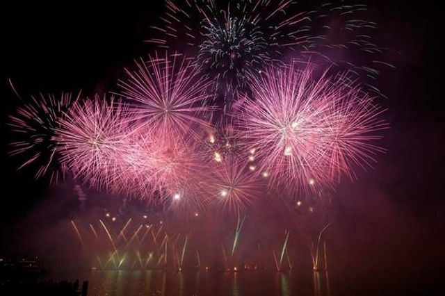 У Швейцарії пройшов фестиваль феєрверків: видовищні знімки- фото 270109