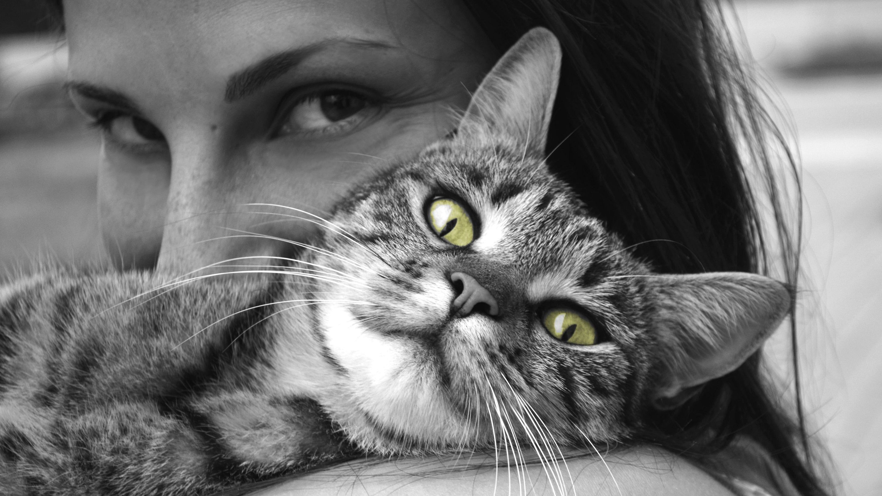 Кого кішки люблять більше - фото 1