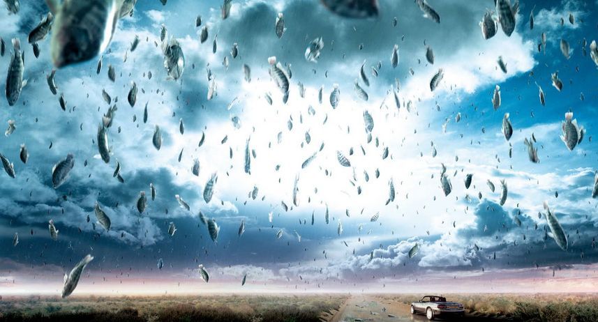 Рибний дощ: в Тайвані рибалка зняв дивне відео