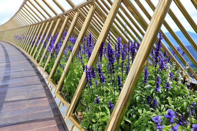 Як виглядає найбільш незвичайний міст у світі- фото 267045