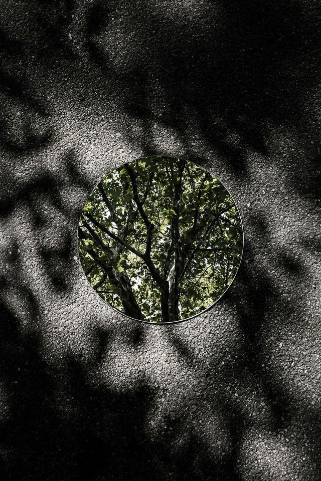 Природа у 'дзеркальних' фото - фото 270870