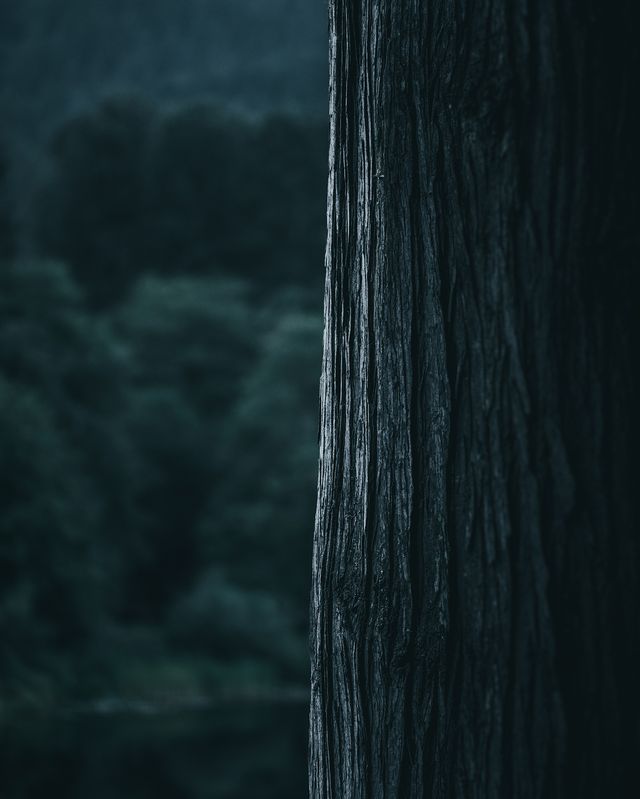 Тревел-фограф Ділан Ферст створює знімки, від яких хочеться мандрувати - фото 268682