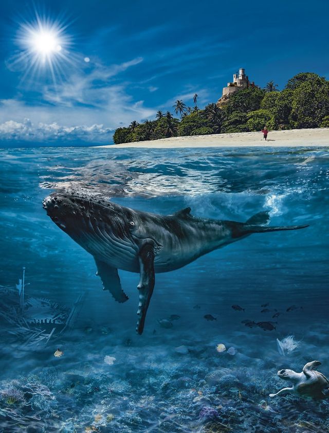 Швейцарський фотограф показав казку на Барбадосі - фото 271531