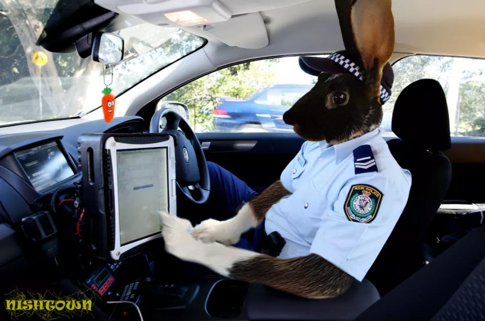 Новий мем - фото 1