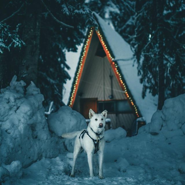 Тревел-фограф Ділан Ферст створює знімки, від яких хочеться мандрувати - фото 268664