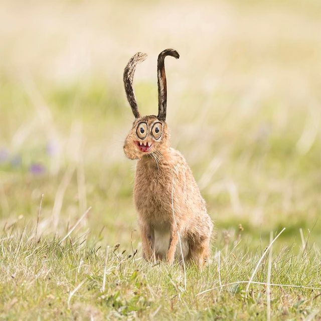 'Оживлені' малюнки дітей - фото 272041