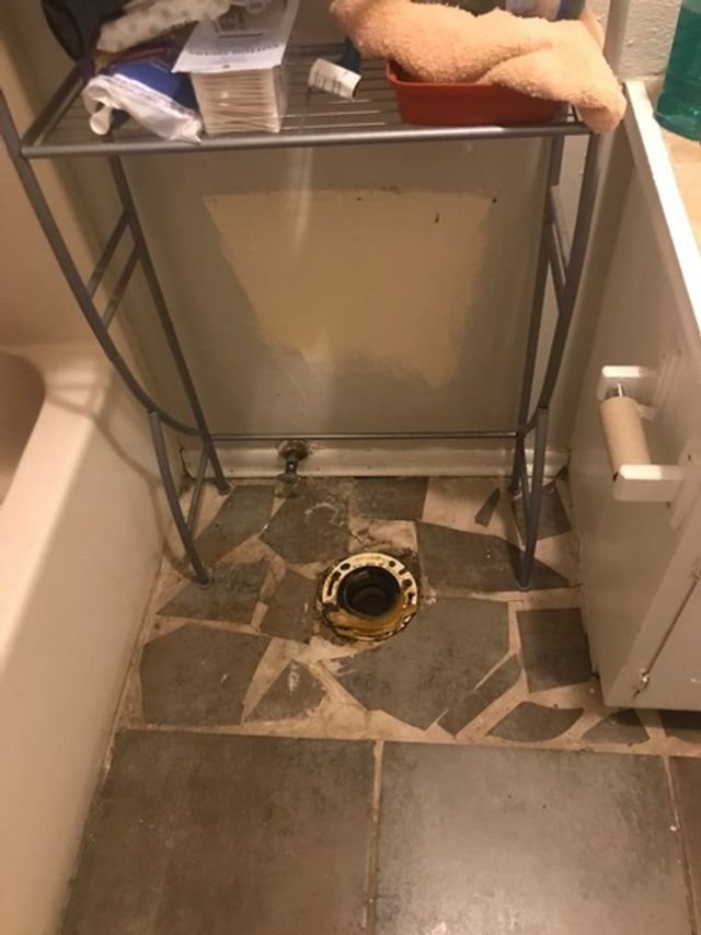 Після розставання чоловік вкрав у дівчини унітаз- фото 270377