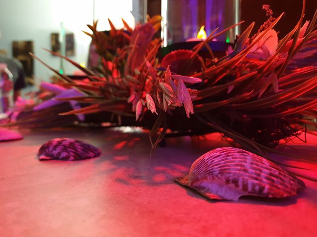 З'явилися фото, зроблені на смартфон Samsung Galaxy Note9 - фото 270065