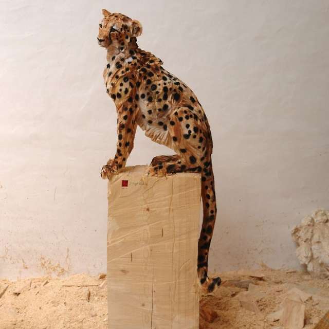 Талановитий німець створює неймовірні скульптури з дерева - фото 270341