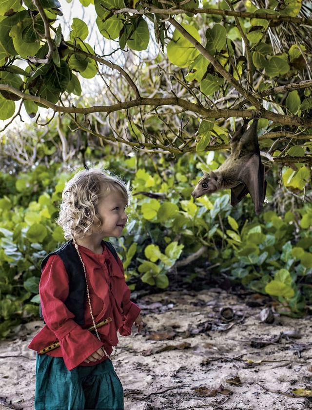 Швейцарський фотограф показав казку на Барбадосі - фото 271527
