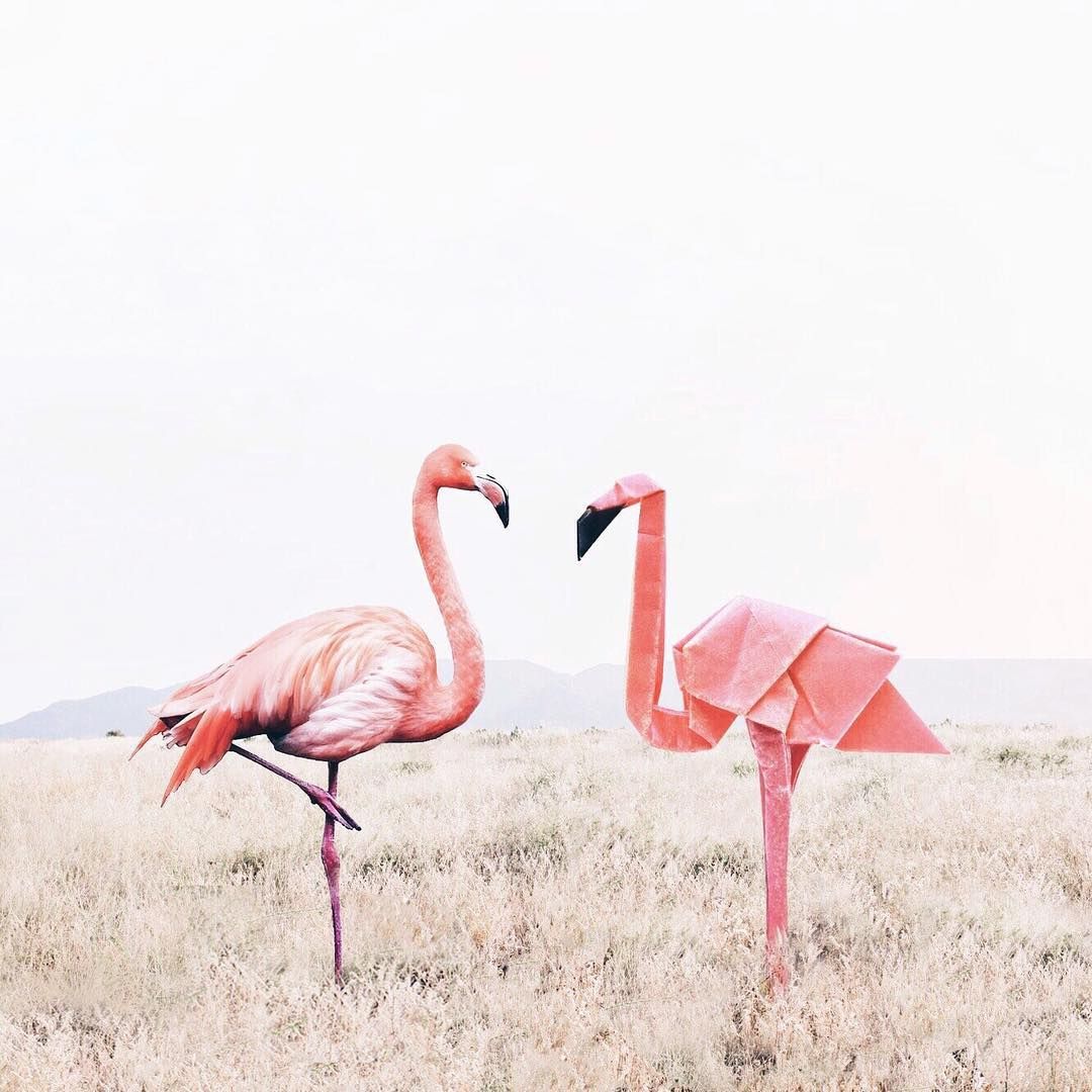 Казкові фото, які заворожують - фото 1