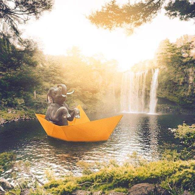 На цих дивовижних знімках світом правлять тварини- фото 270024