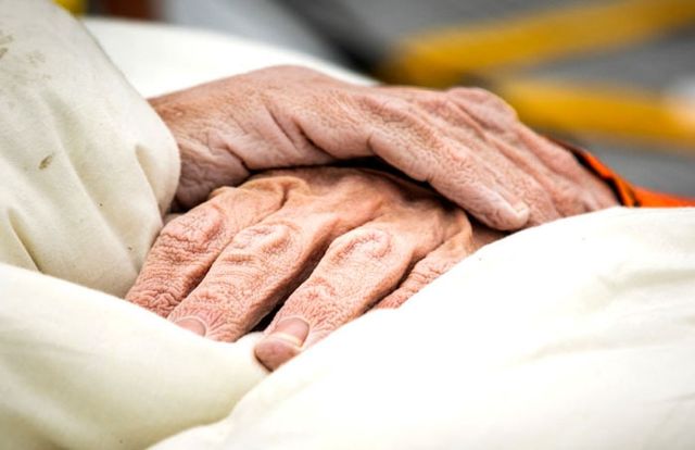 Мартен Ван дер Вейден проплив 163 кілометри - фото 272454