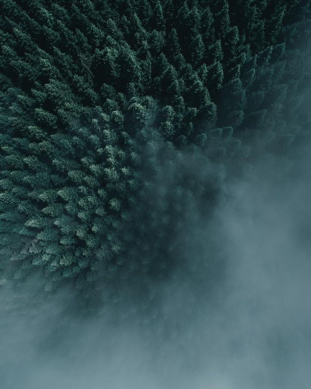 Тревел-фограф Ділан Ферст створює знімки, від яких хочеться мандрувати - фото 268676