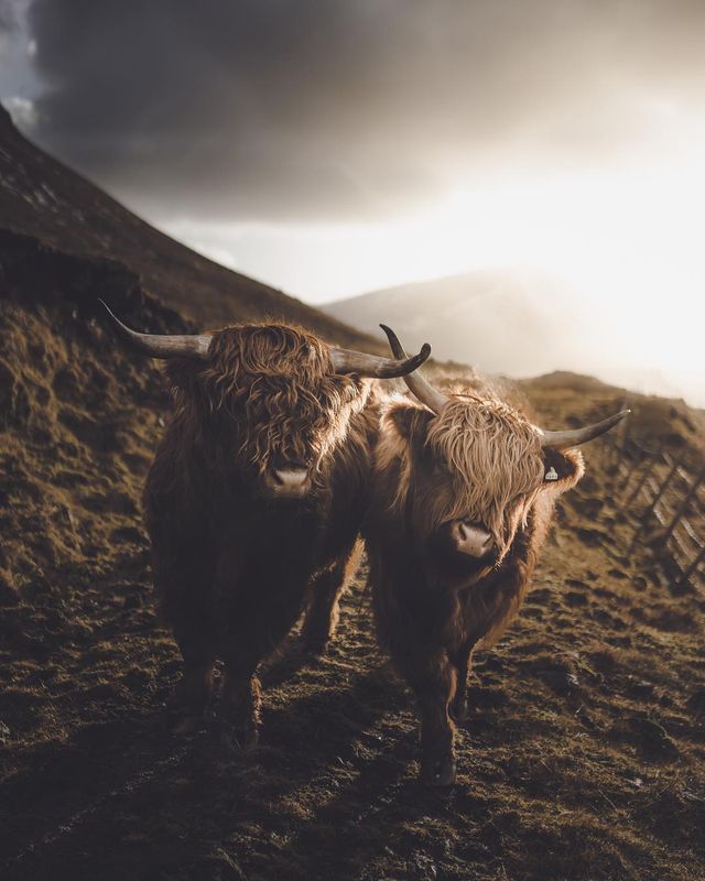 Фотограф Сімон вон Бойч ділиться своїми мандрами - фото 268866