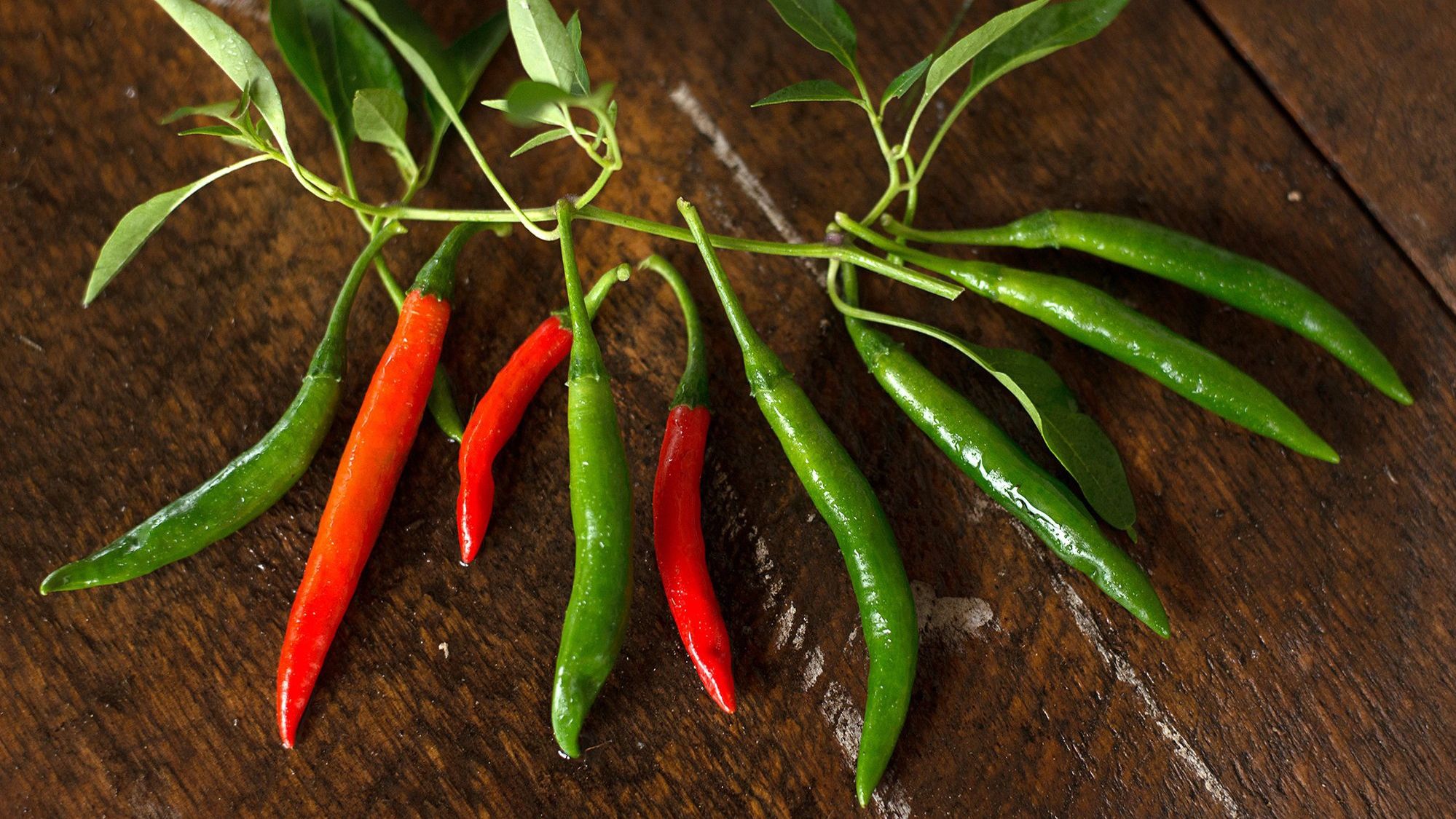 Чудові рецепти маринованого перцю - фото 1