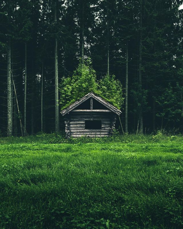 Фотограф Сімон вон Бойч ділиться своїми мандрами - фото 268869