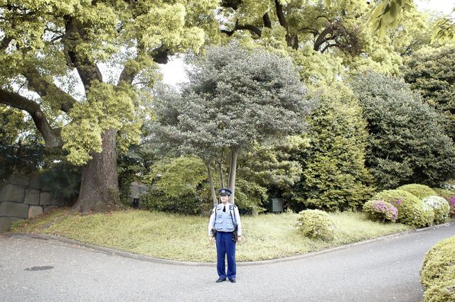 Життя в Японії у фотографіях Массімо Колонна - фото 270784