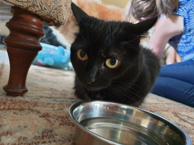 З'явилися фото, зроблені на смартфон Samsung Galaxy Note9 - фото 270063