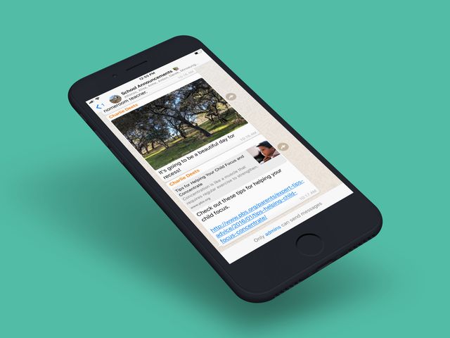 У WhatsApp будуть платні повідомлення - фото 267222