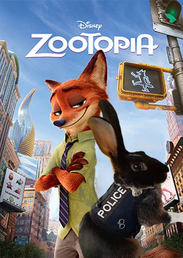 Новий герой мемів - фото 273179