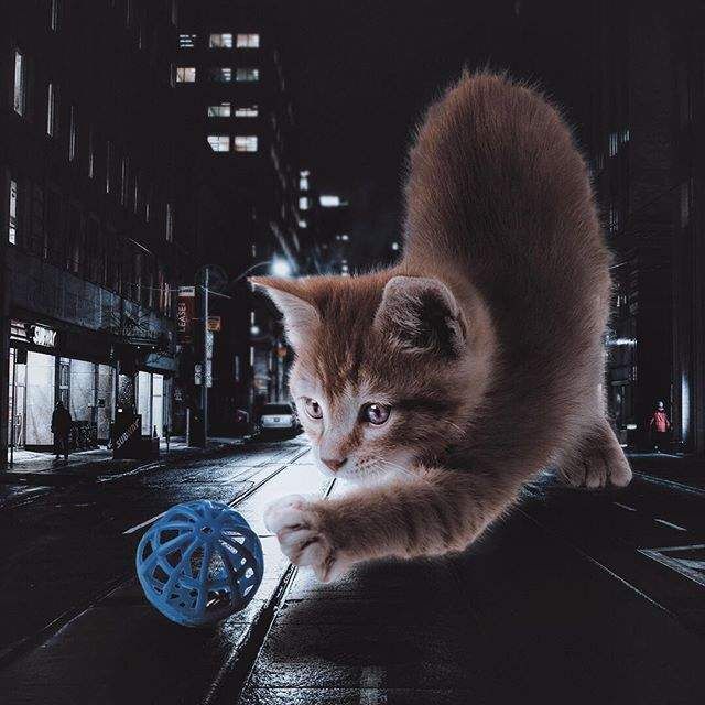 На цих дивовижних знімках світом правлять тварини- фото 270032