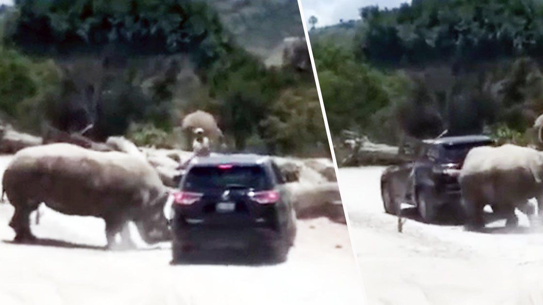 У результаті нападу ніхто не постраждав - фото 1