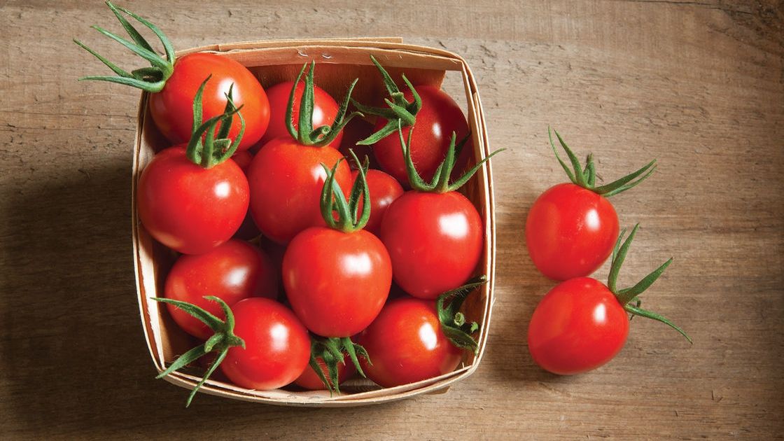 Чому необхідно регулярно їсти свіжі помідори