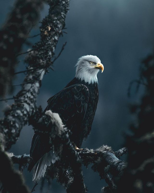Тревел-фограф Ділан Ферст створює знімки, від яких хочеться мандрувати - фото 268677