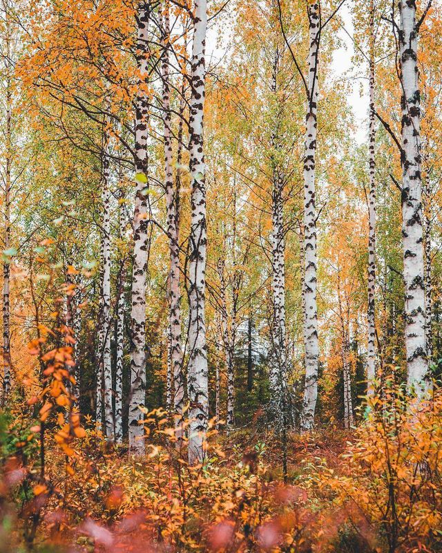 Роботи цього фотографа змусять мріяти про подорожі- фото 269025