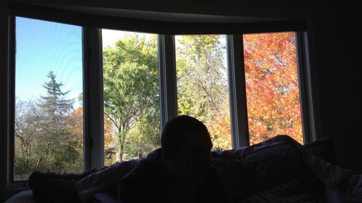 Незвичайне вікно показує всі сезони за раз - фото 1