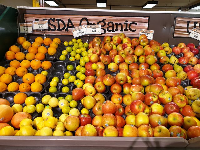 З'явилися фото, зроблені на смартфон Samsung Galaxy Note9 - фото 270077