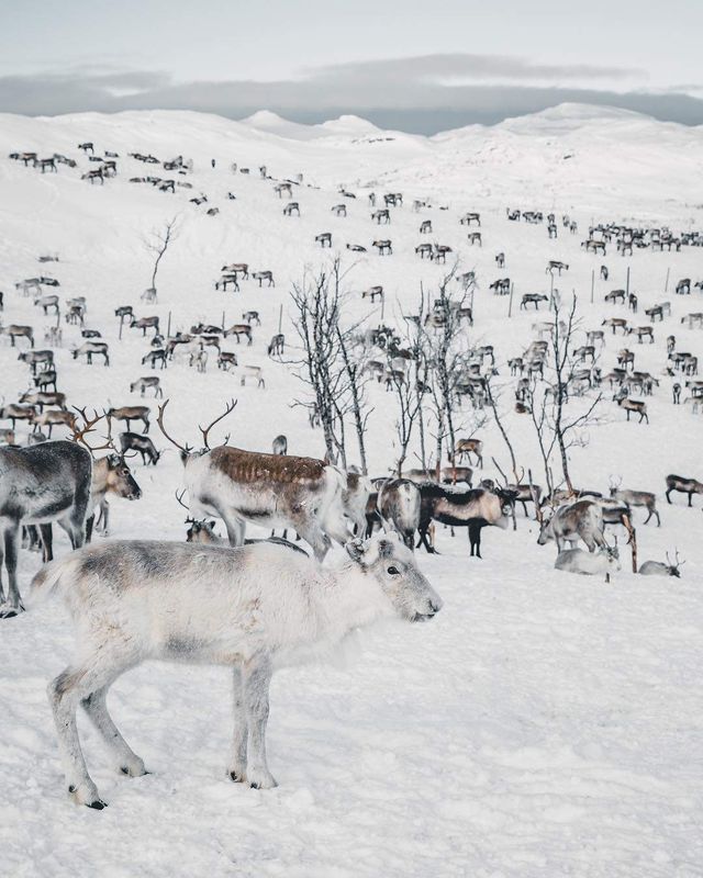Роботи цього фотографа змусять мріяти про подорожі- фото 269019