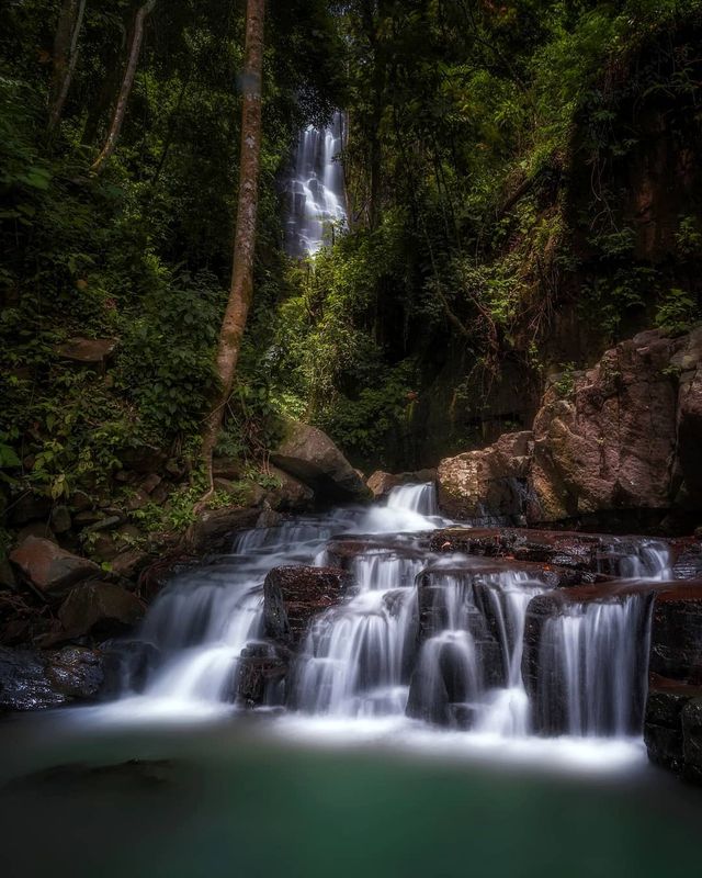 Чарівні подорожі від Лонго Хіндарто - фото 274044