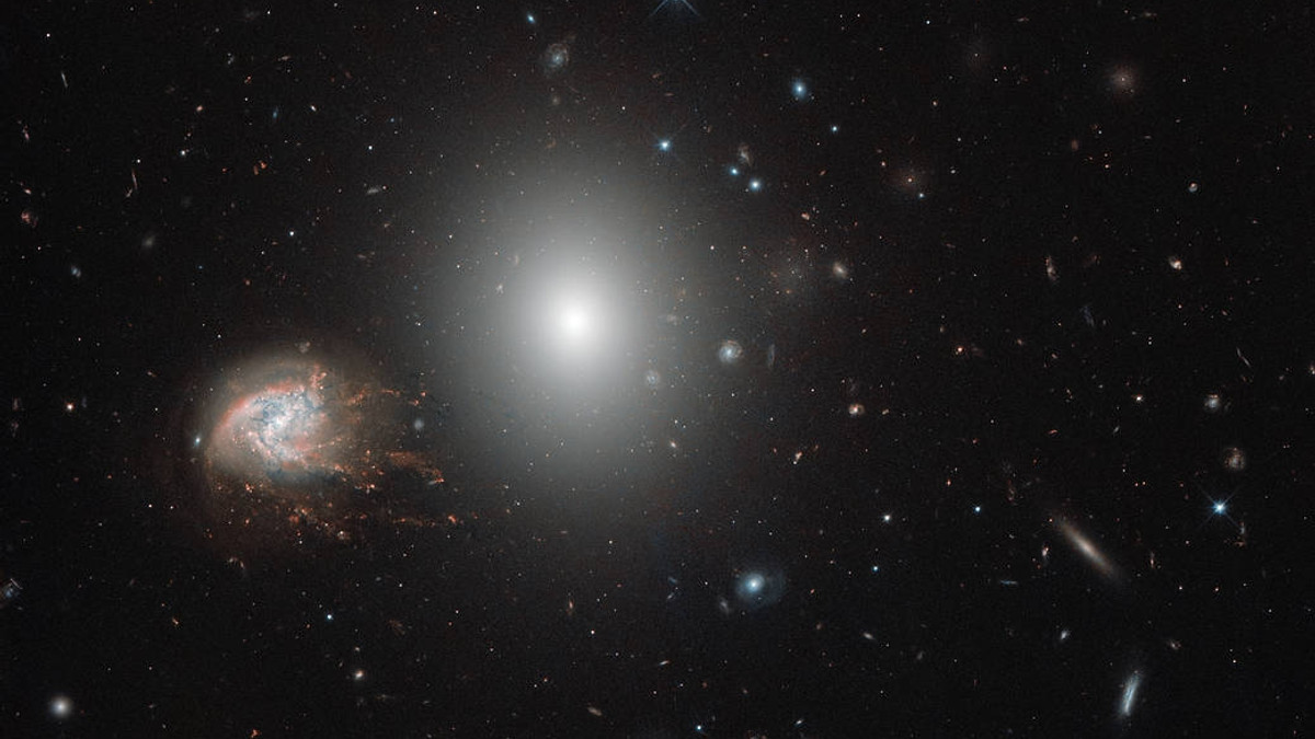 Скупчення галактик у сузір'ї Волосся Вероніки - фото 1