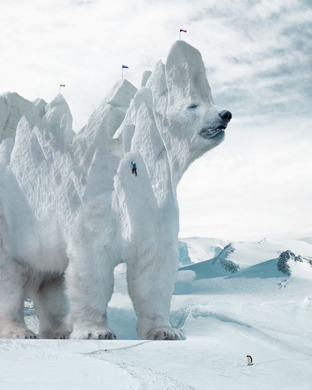 Моторошні кадри від польського фотографа - фото 276143