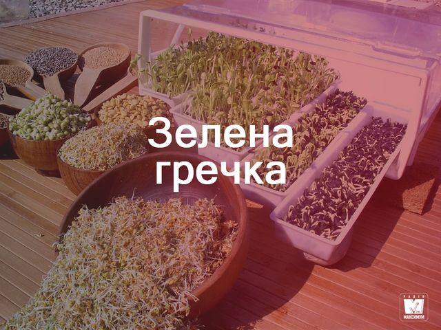Як варити зелену гречку - фото 274719