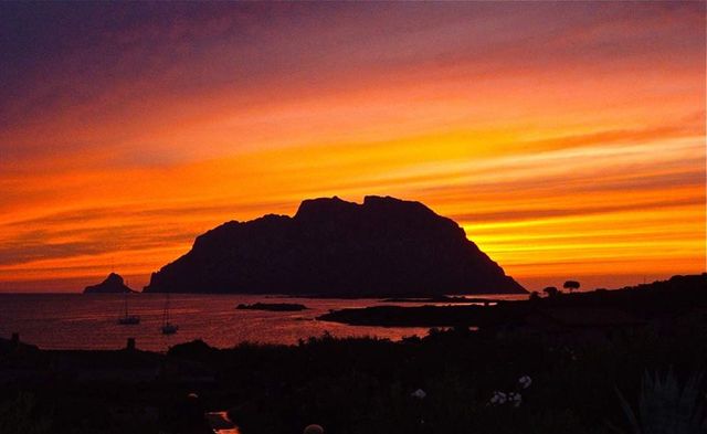 Як виглядає найменше королівство в світі - фото 277378