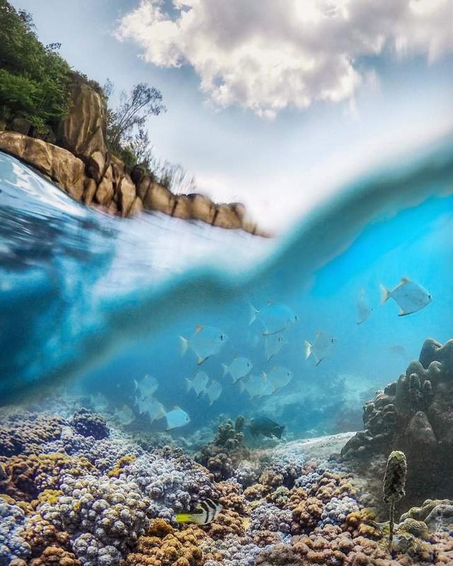 Світ очима фотографа, який побував у 70 країнах - фото 277551