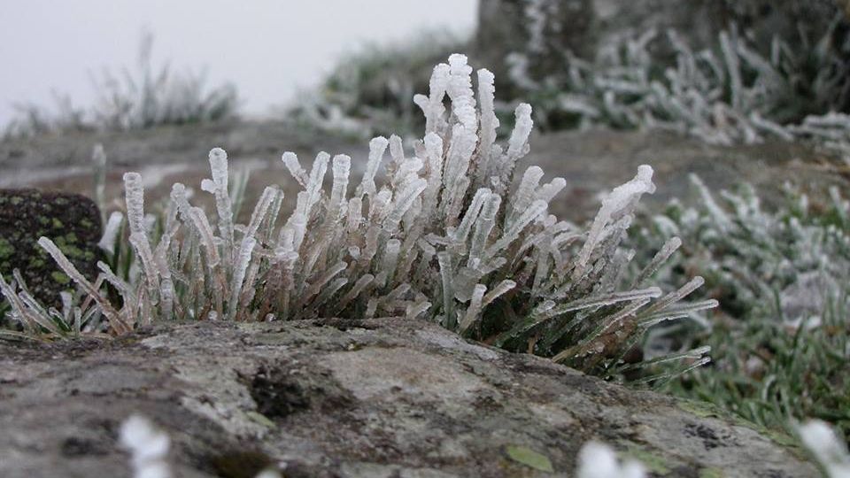Перший сніг в Україні - фото 1