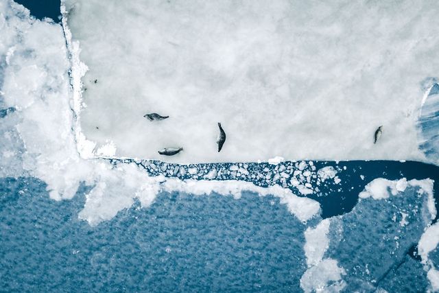 Талановитий фотограф ділиться мандрами - фото 277216