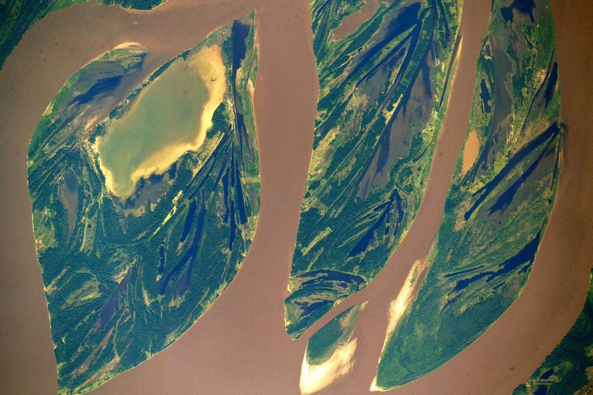 Який вигляд має Амазонка з космосу: фотофакт