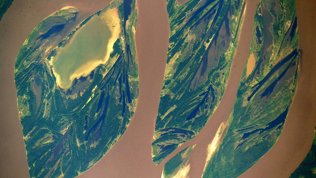 Амазонка з борту МКС - фото 1