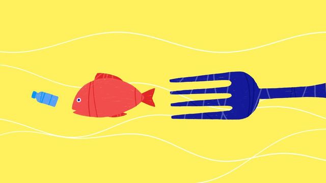 Бісфенол-А та бісфенол-S однаково небезпечні - фото 275973