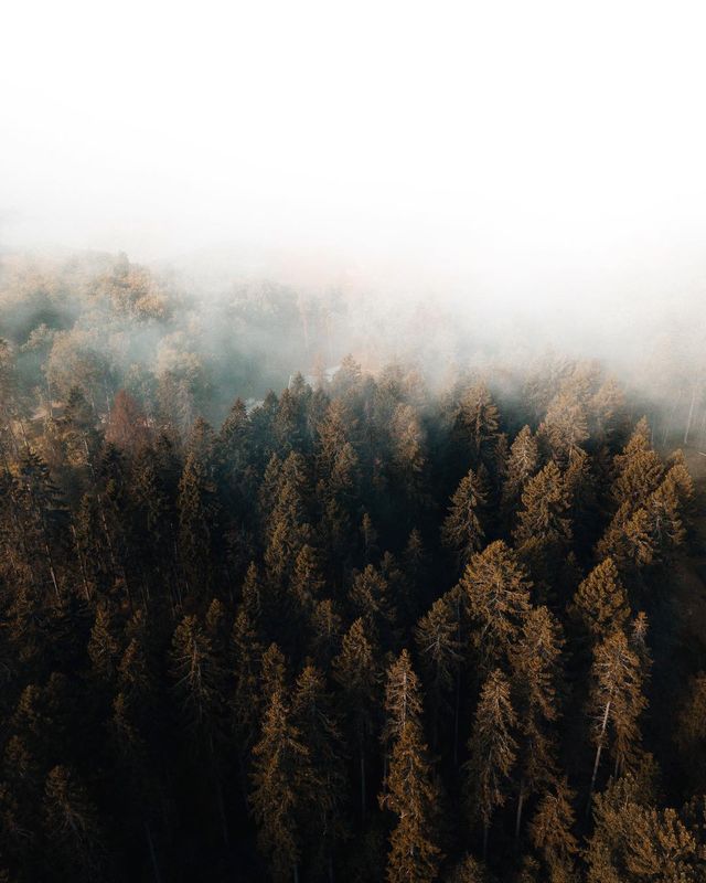 Цей фотограф своїми знімками змушує затамувати подих - фото 276948