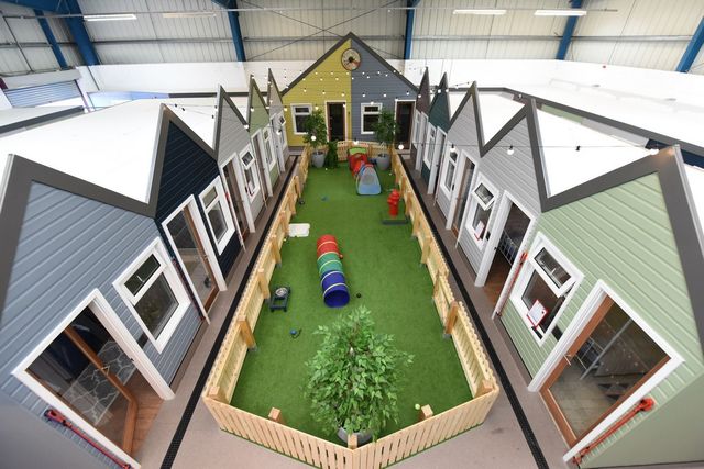 У Великобританії відкрили розкішний готель для собак - фото 277148