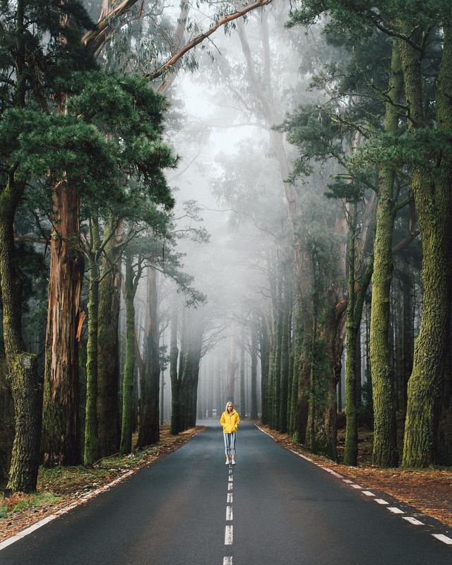 Подорожі, від яких перехоплює дух - фото 278638