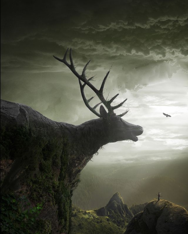 Моторошні кадри від польського фотографа - фото 276142